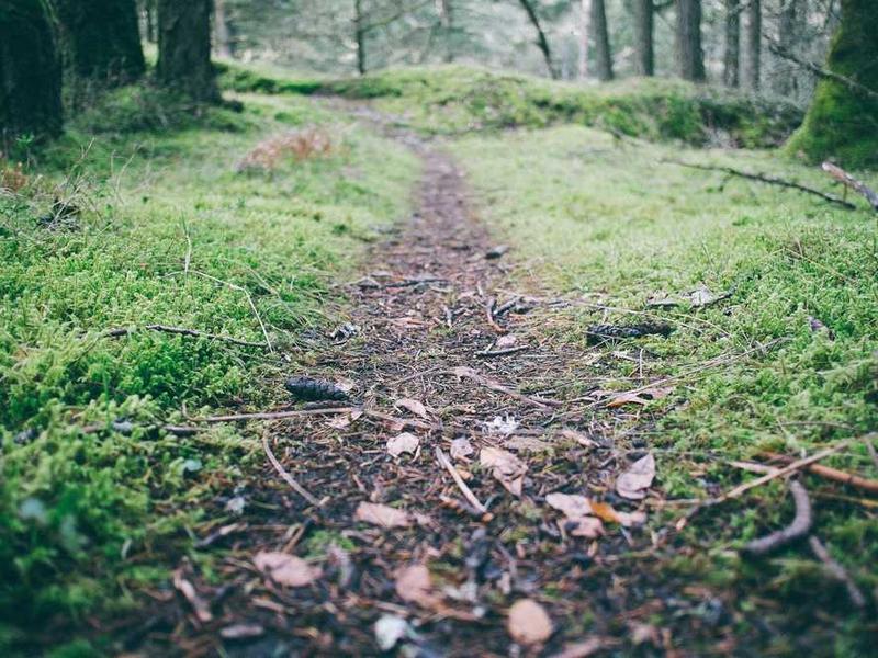 Cross-Cultural Business Etiquette